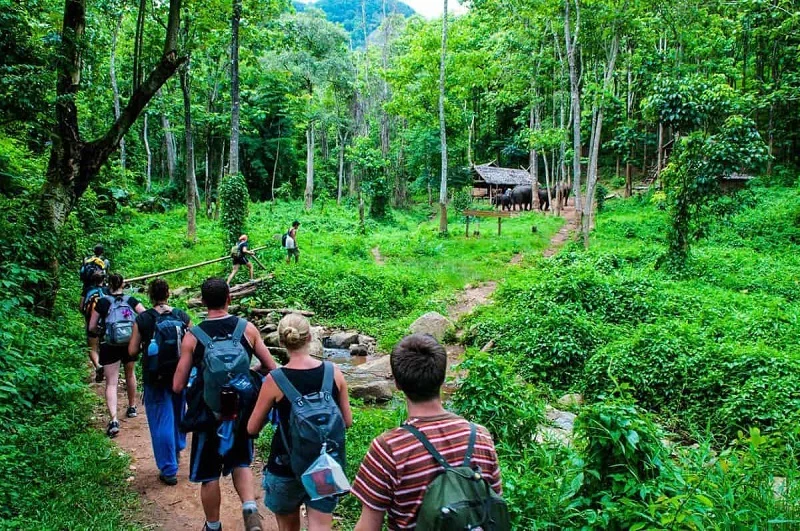 eco tourism